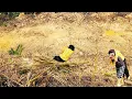 Download Lagu A poor girl in trouble was saved by a kind woman, is it a blessing or a curse. What will happen?