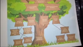 Family tree of the Family Suarez Contreras Student Maria Ursula Suarez Contreras