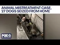 Animal mistreatment case 27 dogs seized Kenosha couple faces 170 counts FOX6 News Milwaukee