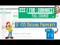 CSS for Dummies 17 CSS Outline Property Creating Outline around Element in CSS