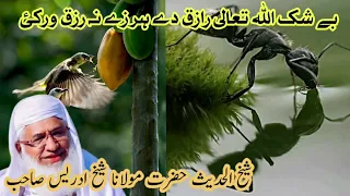 allah rizq pa sang sang tareqa warkai molana idrees new bayan 2023 sheikh idrees sb
