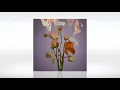 Track of the Day (15/09/2021) ~ Polar Inc. - Merovingian (Extended Mix) ~ [This Never Happened]