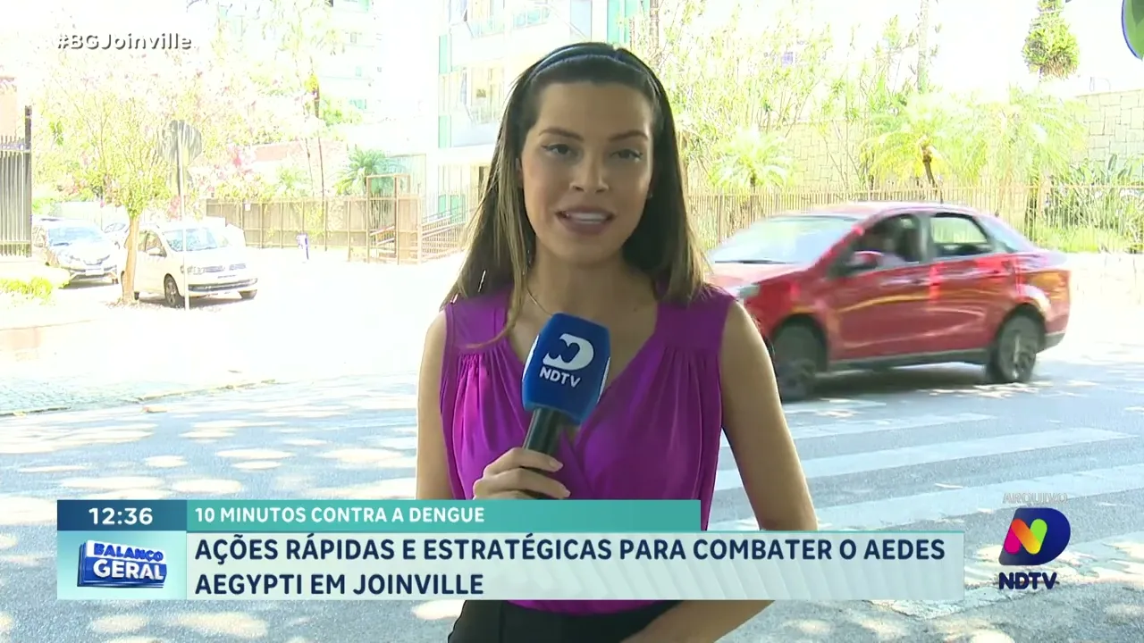 Joinville contra a dengue: estratégias em ação para combater o Aedes Aegypti