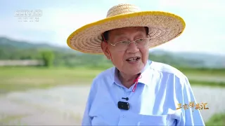 《三农群英汇》 20261007 大地脊梁 第9集 农机装备科学家罗锡文 | 农业致富经 Agriculture And Farming