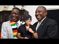 Download Lagu The Zimbabweans continue to UNDERMINE our Country and Hijack our Land | Operation Dudula Evict them