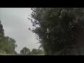 Download Lagu A Selection of birds, live from my garden in the UK countryside. Day 3:  New Mealworm Feeder Added!