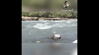 خواندن از اسلام شریفی 