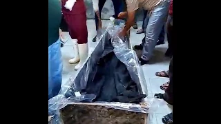 استلام الشاب حسين الشامي والتاكد بعد فتح الكيس لرؤيته والمفاجئة 