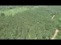 Lamar County AL 60 Acres