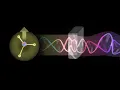 The origin of Electromagnetic waves and why they behave as they do