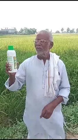 देवरिया के किसान ने नैनो यूरिया को फसलों के लिए कैसे बताया उपयोगी | वनइंडिया हिंदी