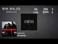 MURAKAMI - NO BASS | Bass Playalong (Armenta)