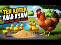 Download Lagu TEK KOTEK | CIT CIT CUIT | 5 BEBEK KECIL BERMAIN | SUARA BINATANG | BABA KIDS