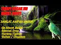 Download Lagu TERAPI CUCAK IJO MACET BUNYI, SANGAT AMPUH UNTUK IJO DROP ATAU BAKALAN / OBYOKAN, PANCINGAN TERAMPUH