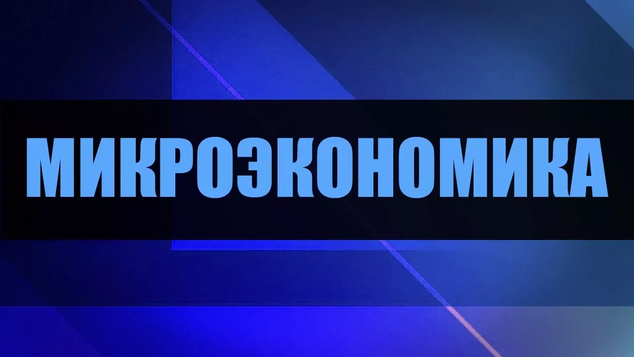 Микроэкономика. Лекция 1