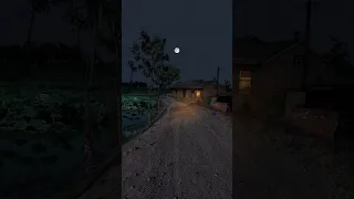 ما أجمل هدوء الليل ليله الليل هدوء منظر طبيعي Support Subscribe Beautiful Youtubeshorts 