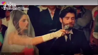 حالات واتس اب تخيل شجره بيها اوراق 