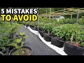 5 Mistakes You Must NEVER Make When Container Gardening