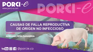 FALLA REPRODUCTIVA EN CERDAS DE ORIGEN NO INFECCIOSO - PORCI-E