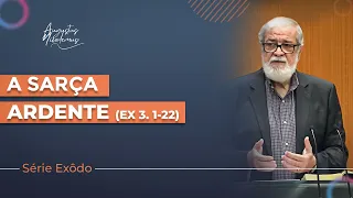 03. A sarça ardente | (Ex 3:1-22)