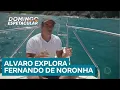 Download Lagu 50 por 1: Alvaro Garnero explora ilha e passeia com golfinhos em Fernando de Noronha (PE)