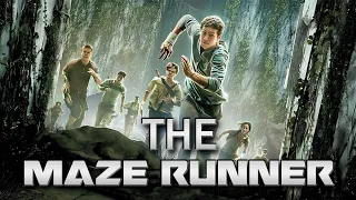 the maze runner 2014 movie full movie in hindi explained sci fi action