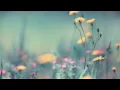 Phaeleh - In The Twilight