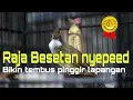 Download Lagu cucak jenggot gacor kombinasi besetan nyepeed