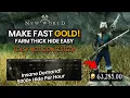 Best Place To Farm Thick Hide Make Easy Gold In New World Farming Guide