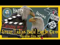 BALD EAGLE Live Cam 2 Traverse City MI