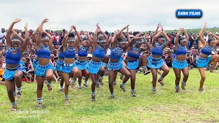 oqhawekazi team blue obuka isibaya samadoda emkhandlwini obuka
