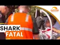 Tourist praised for coming to aid of shark attack victims | Sunrise