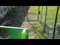 Omlet Cat Run - Inside