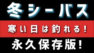 【シーバス】実は簡単！冬のシーバスの探し方！内容濃いので永久保存です！