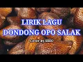 LIRIK LAGU DONDONG OPO SALAK | Lagu Daerah Jawa Tengah | Lagu Anak | Cover by SIHO