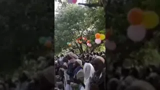 The Happy Mawlid Celebration Jimma 