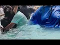 Download Lagu Fantasy Kingdom Iফ্যান্টাসি কিংডম I Water Kingdom I Water world - Hot Girl Swimming Part –684