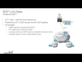 Open SDN Controller Lab Overview