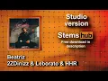 Beatriz - 2ZDinizz & Leborato & HHR [Studio] * HQ Download