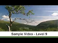 Literature Level 9 Analyzing Figurative Language Sample by Matthew Stephens