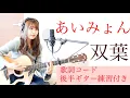 【大学生が歌う】あいみょん/双葉　Futaba ギター練習付き（カバー＊ギター＊弾き語り✳︎コード）18祭NHK