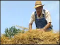 Harvest The Threshing Story