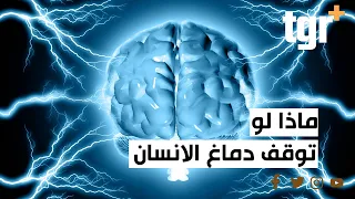 ماذا لو  توقف دماغ الانسان عن العمل خمس ثواني فقط دندنها