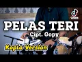 Download Lagu PELAS TERI Koplo Version Terbaru by Koplo Ind ( pelas teri dibuntel godong ) Reza NovitaSari