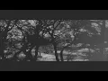 loscil -   Monument Builders (Video)