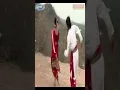 #Shorts || Banangaladi Bellichukki || Romantic Song Kannada