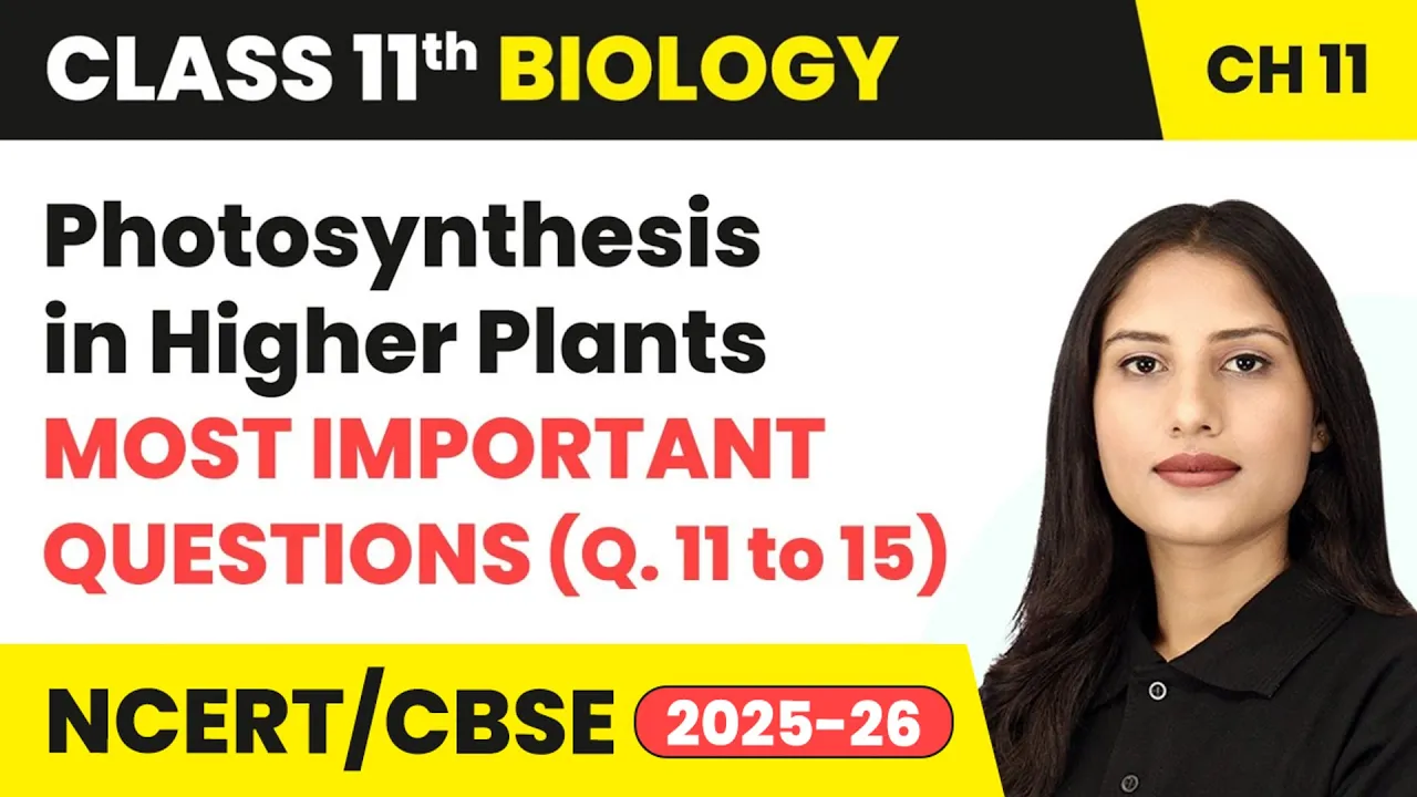 Photosynthesis in Higher Plants - Most Important Questions (Que. 11 to 15) | Class 11 Biology Ch 11