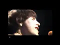 The Kinks - Got Love if you want it