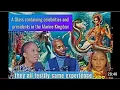 The Marine Kingdom Explained Brother Enigma Erica Mukisa Vukosi Sono