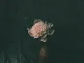 Download Lagu (FREE) keshi x joji Type Beat \